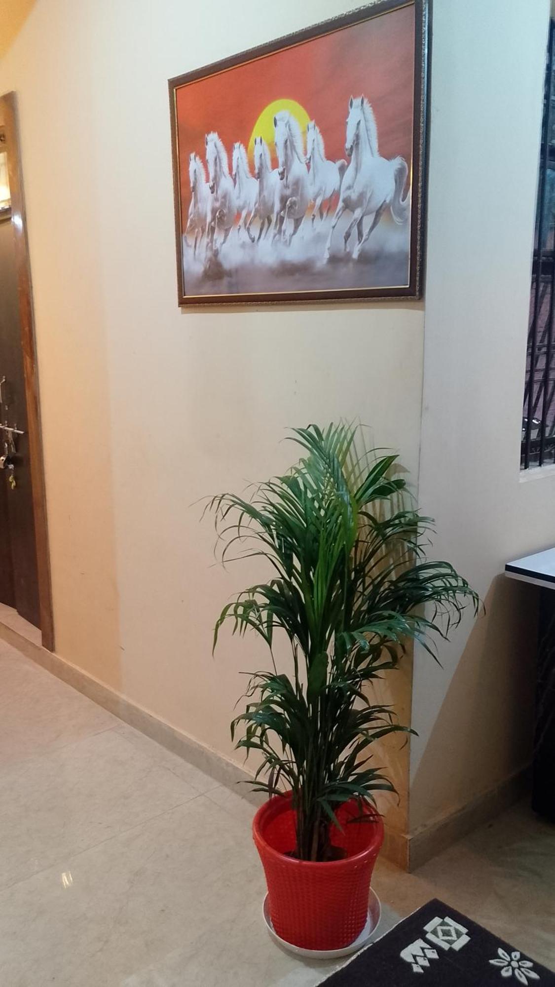 The Blessings Home Stay 아그라 외부 사진